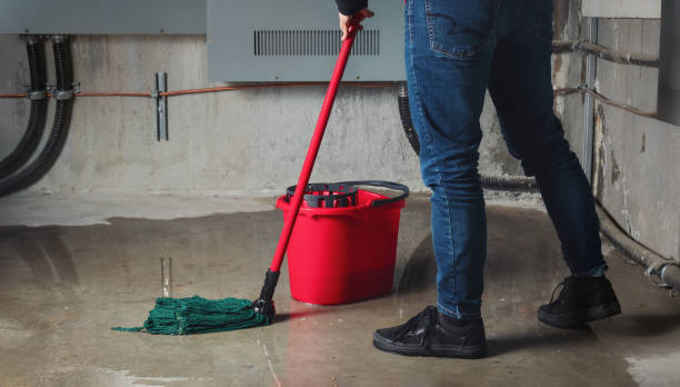 Best Basement water damage restoration  in Nooksack, WA