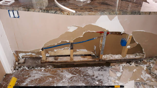 Best Water damage restoration near me  in Nooksack, WA