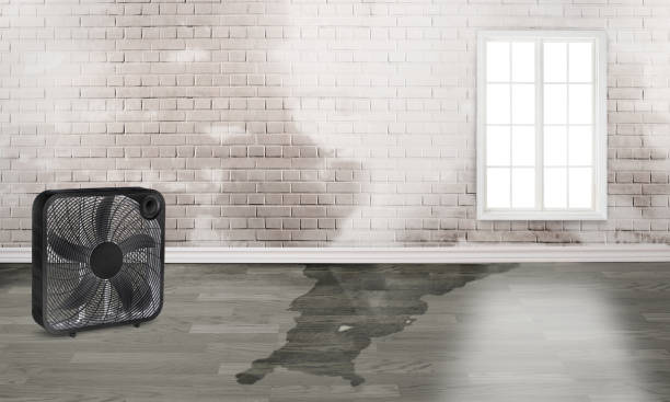 Best Sewage cleanup and water damage restoration  in Nooksack, WA