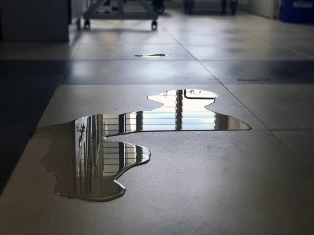 Best Water damage cleanup near me  in Nooksack, WA