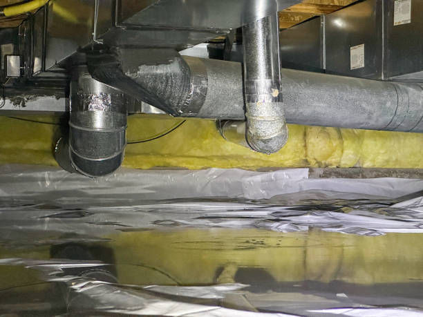 Best Ceiling water damage repair  in Nooksack, WA