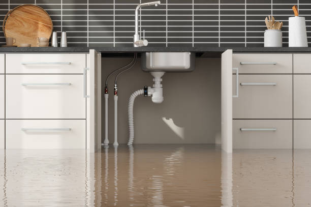 Best Fire Damage Restoration  in Nooksack, WA
