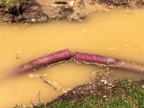  Nooksack, WA Water damage restoration Pros