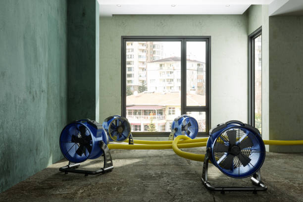 Best Flood restoration services  in Nooksack, WA