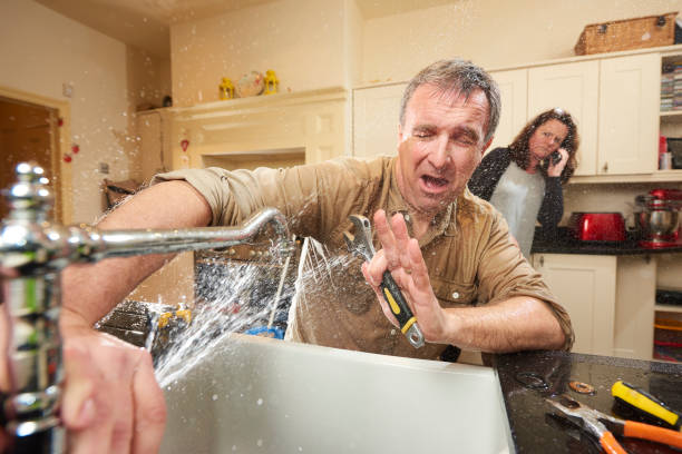 Best Flood damage cleanup  in Nooksack, WA